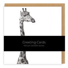 Load image into Gallery viewer, African Wildlife Set - Greeting Cards