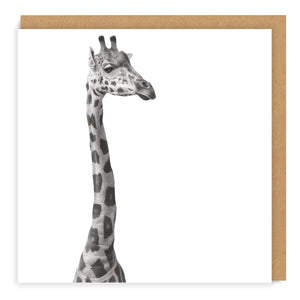 African Wildlife Set - Greeting Cards