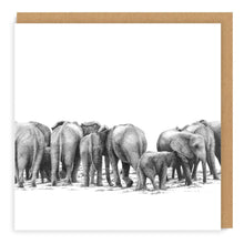 Load image into Gallery viewer, African Wildlife Set - Greeting Cards