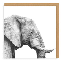 Load image into Gallery viewer, African Wildlife Set - Greeting Cards