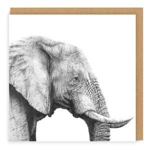 African Wildlife Set - Greeting Cards