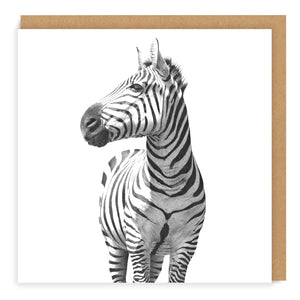 African Wildlife Set - Greeting Cards