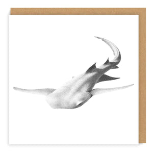 Tawny Nurse Shark - Greeting Card