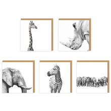 Load image into Gallery viewer, African Wildlife Set - Greeting Cards